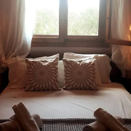 A Away From * プサコウディア