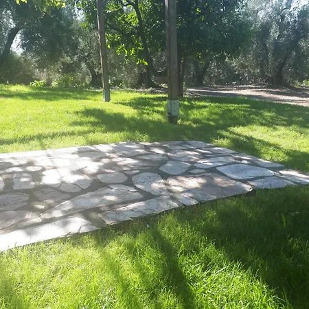 A Away From * プサコウディア